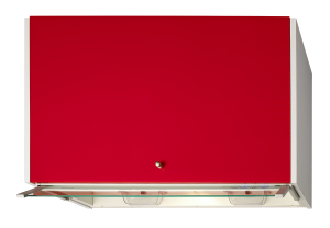 隱藏式專利設計電熱除油排油煙機